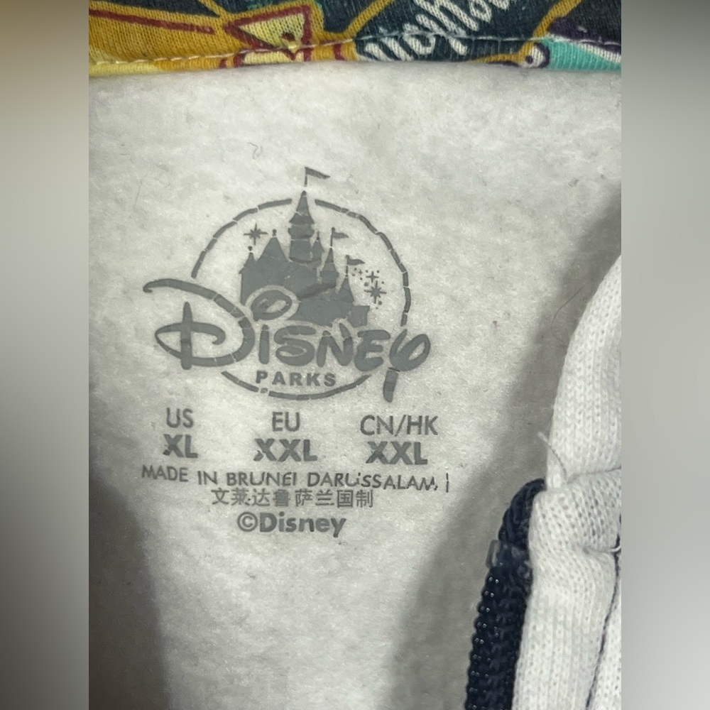 Disney Parks Multicolor Graphic Hoodie - Picture 5 of 6